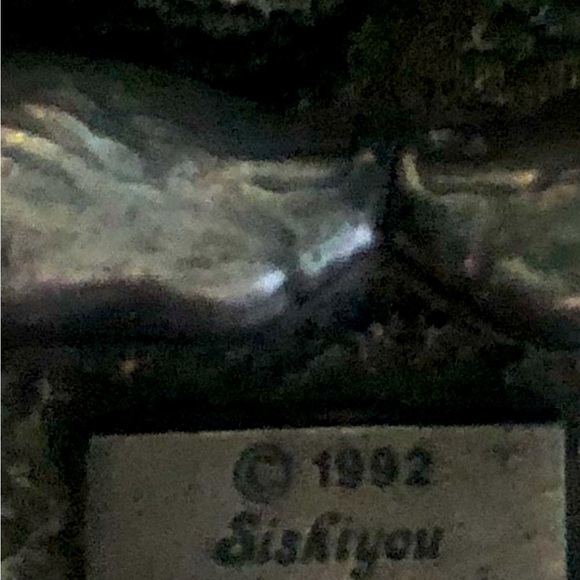 Brushy creek belt with buckle - Picture 5 of 10